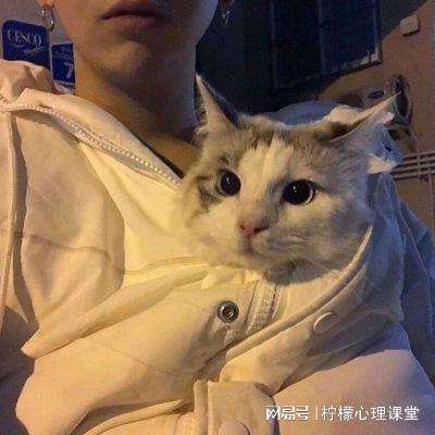 变态游戏盒子破解版下载